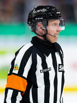 Domare Mikael Holm