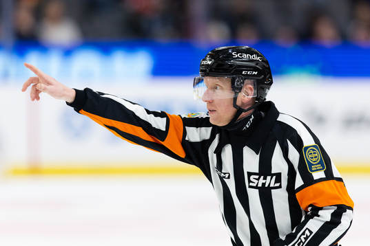 Domare Mikael Holm
