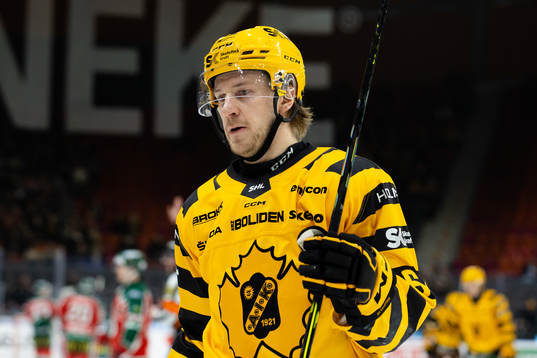 Skellefteås Jonathan Pudas