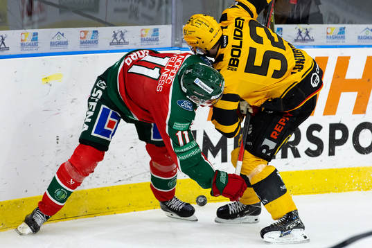 Frölundas Erik Borg och Skellefteås Arvid Lundberg