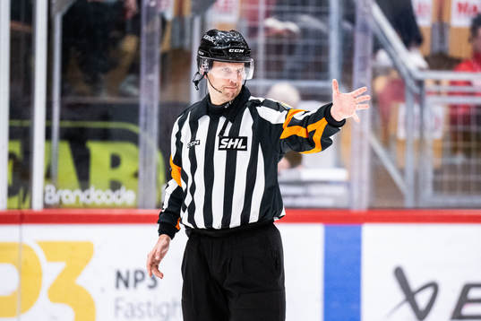Domare Richard Magnusson dömmer mål