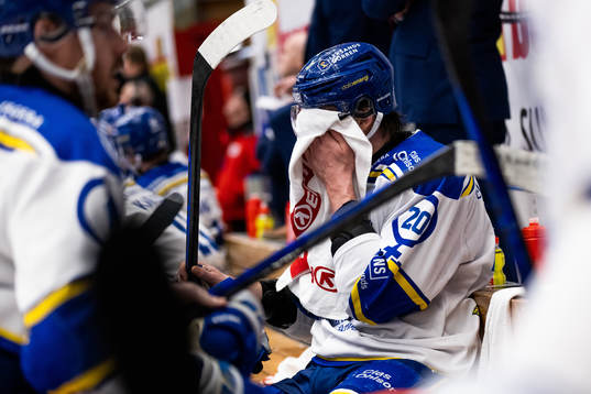 Leksands Lian Bichsel deppar