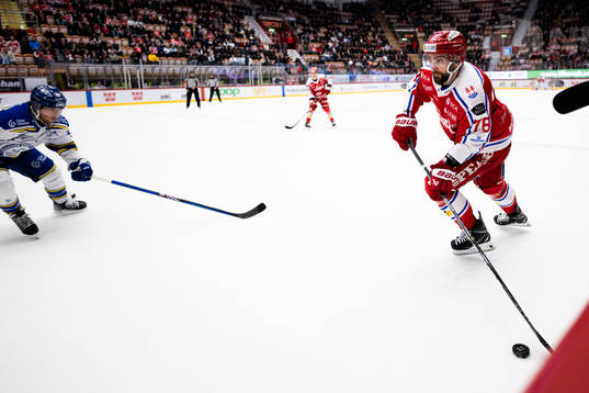 Timrås Robin Hanzl