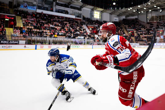 Timrås Robin Hanzl