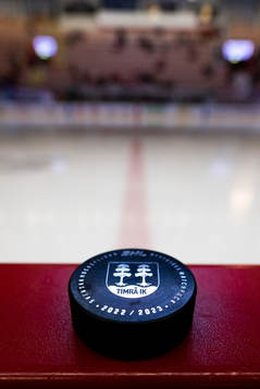 En hockeypuck