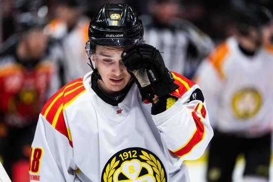 Brynäs Dmytro Timashov deppar