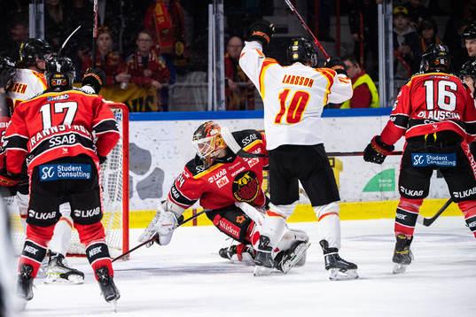 Brynäs Johan Larsson jublar