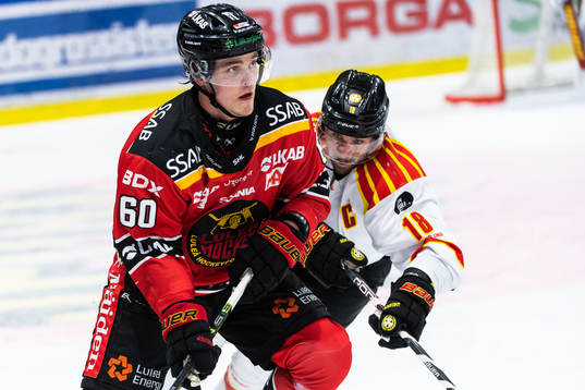 Luleås Julius Honka och Brynäs Anton Rödin