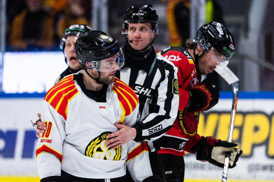 Brynäs Johan Larsson