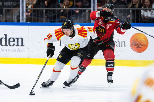 Brynäs Dmytro Timashov