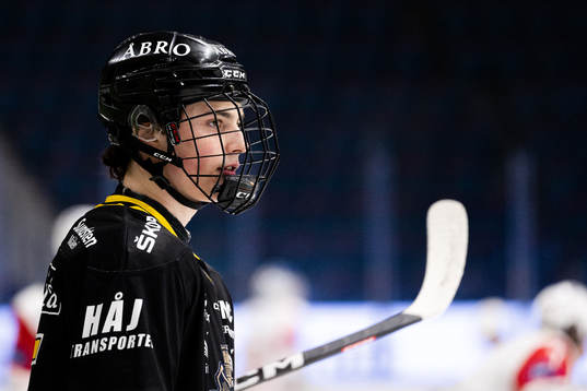 AIKs Dalibor Dvorsky