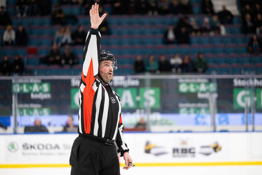 Domare Robin Werner
