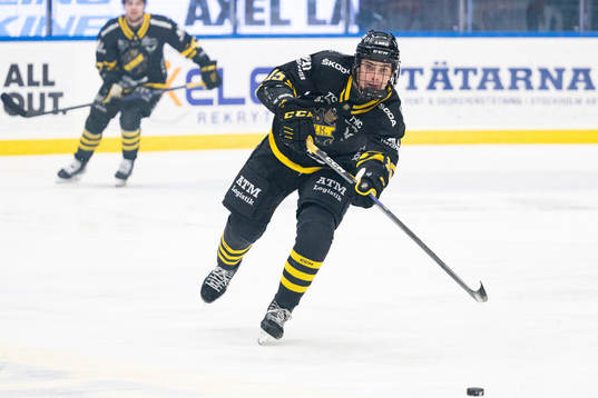 AIKs Dalibor Dvorsky