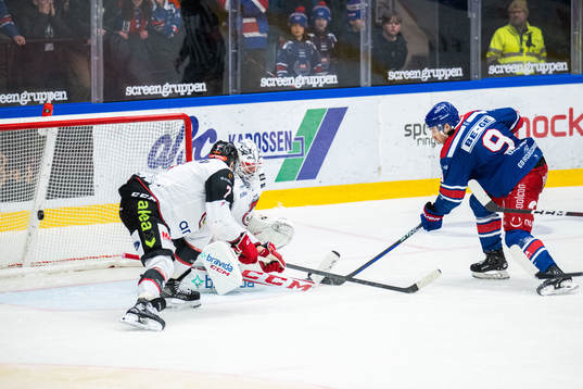 Malmö Redhawks Oliver Lauridsen och målvakt Adam Werner