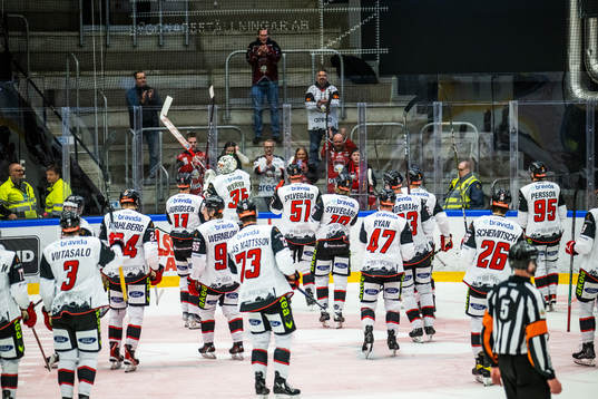Malmö Redhawks spelare jublar