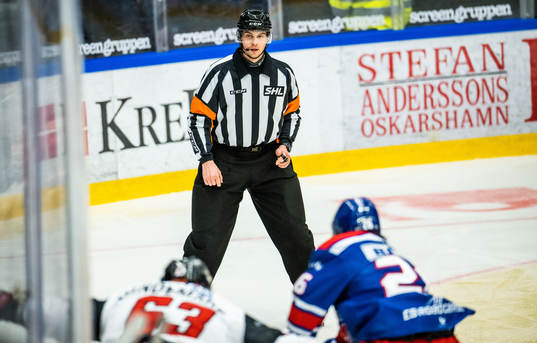 Domare Johan Wedin