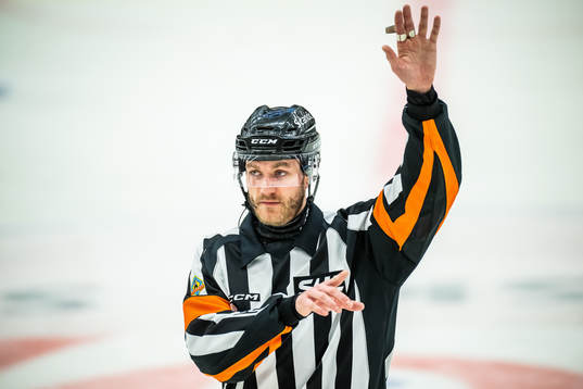 Domare Daniel Eriksson