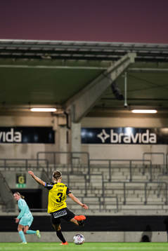 Häckens Aivi Luik
