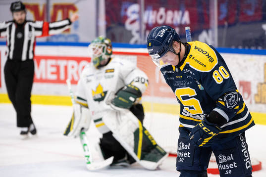 Södertäljes Georgs Golovkovs deppar