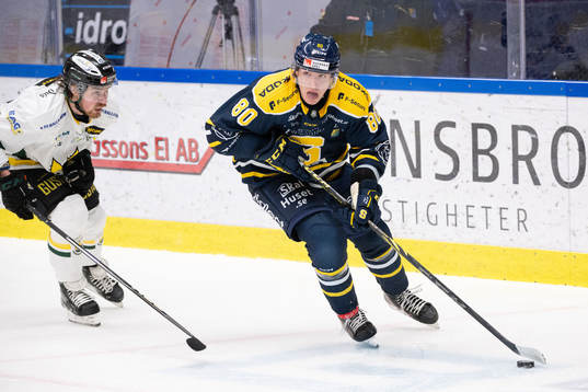 Södertäljes Georgs Golovkovs