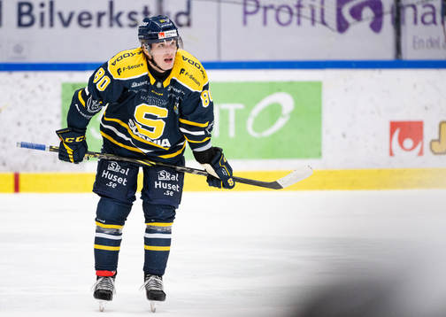 Södertäljes Georgs Golovkovs