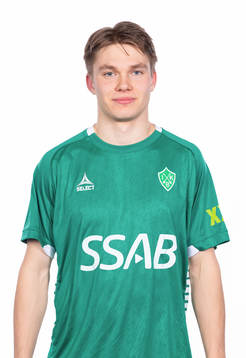 Brages Gustav Bergren