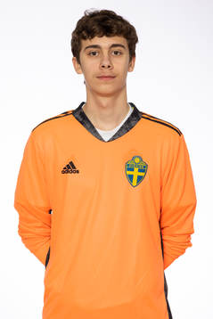 Mirsad Basic