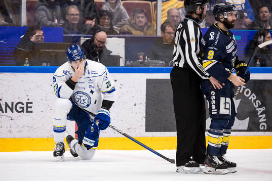 Leksands Lian Bichsel