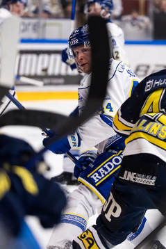 Leksands Carter Ashton