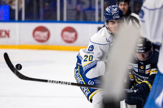 Leksands Lian Bichsel