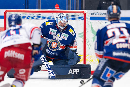Växjös målvakt Emil Larmi