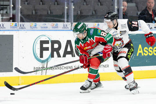 Frölundas Ryan Lasch och Malmö Redhawks Carl-Johan Lerby