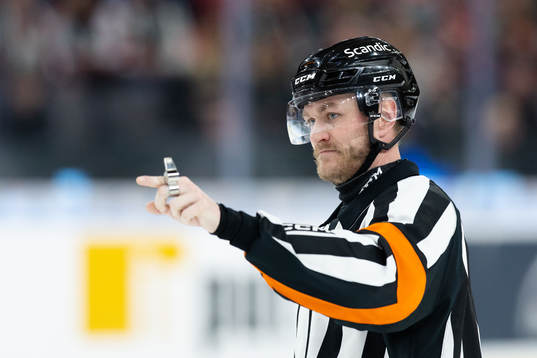 Domare Daniel Eriksson
