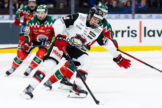 Malmö Redhawks Anton Wahlberg