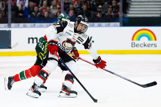 Malmö Redhawks Anton Wahlberg