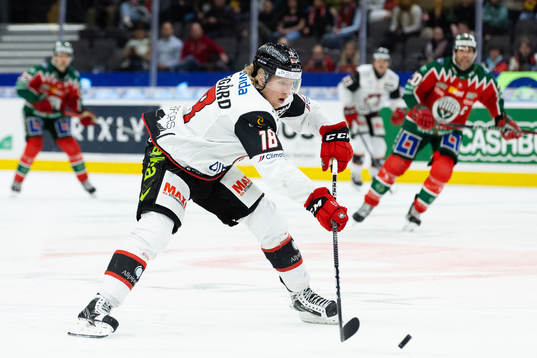 Malmö Redhawks Marcus Sylvegård