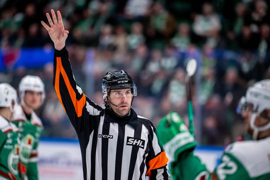 Domare Mikael Sjöqvist