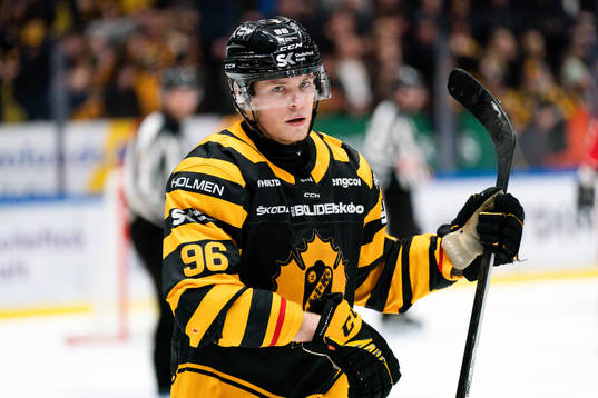 Skellefteås Rickard Hugg