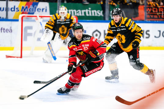 Luleås Einar Emanuelsson och Skellefteås Rickard Hugg