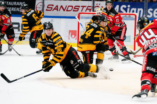 Skellefteås Rickard Hugg
