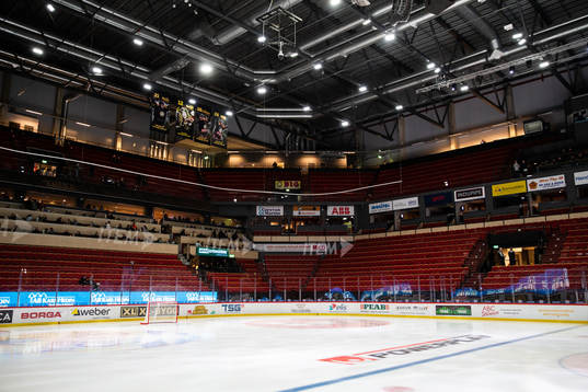 Monitor ERP Arena