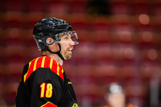 Brynäs Anton Rödin
