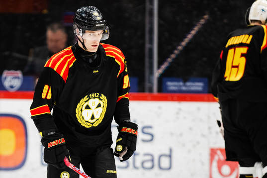 Brynäs David Sklenicka deppar