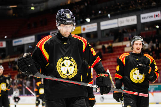 Brynäs Mikko Niemelä deppar