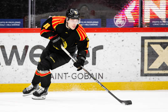 Brynäs Dmytro Timashov