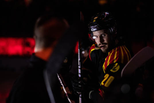 Brynäs Oula Palve