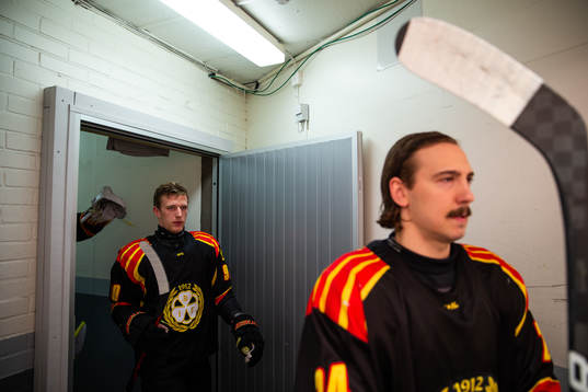 Brynäs David Sklenicka