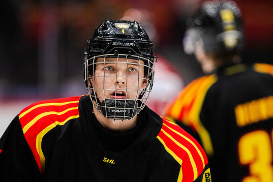 Brynäs Theo Lindstein