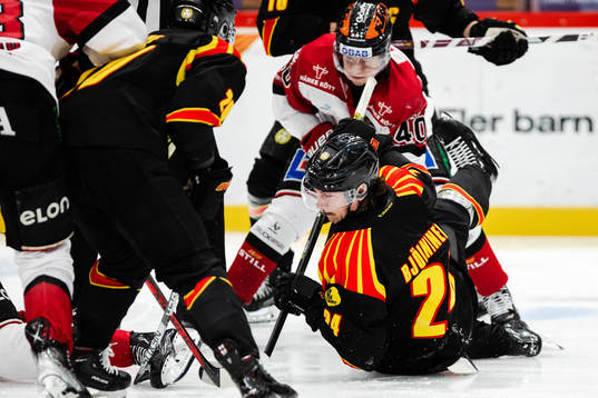 Brynäs Hannes Björninen
