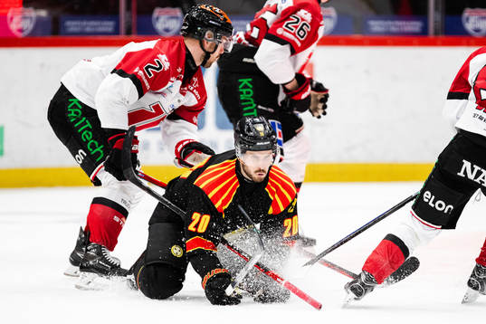 Brynäs Oula Palve